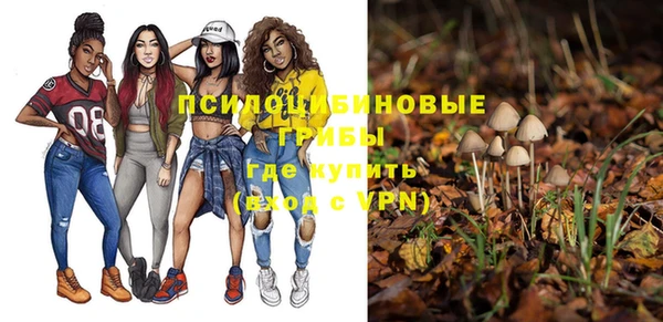 бутират Богданович