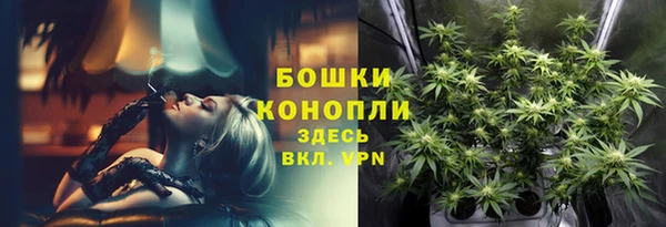 ALPHA-PVP Богородицк